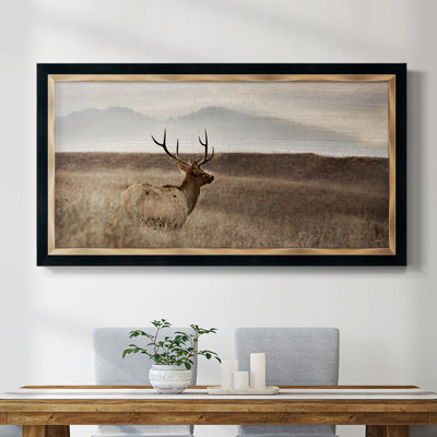 Millwood Pines " Now You See Me " & Reviews Wayfair